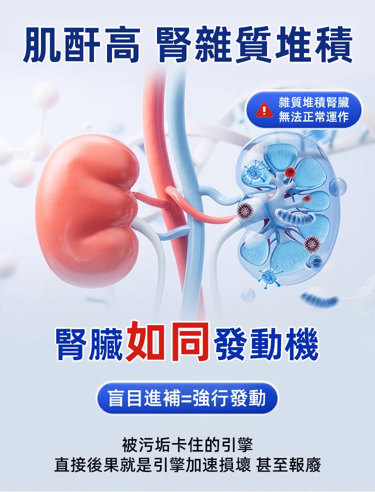 蒲公英枳棋子地龍蛋白片 9 f8abc4ead75b38268b6b48ffa22bc2963297112594781009950789TW2346ce31bf7ee1577117d19894e89e7bb 蒲公英枳棋子地龍蛋白片