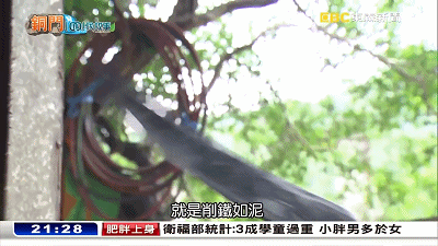 1520845229321779.gif 14.gif