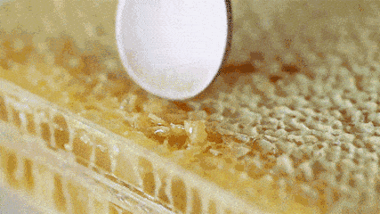 1547187604721526.gif t0127ceaa5b0155f9bb.gif