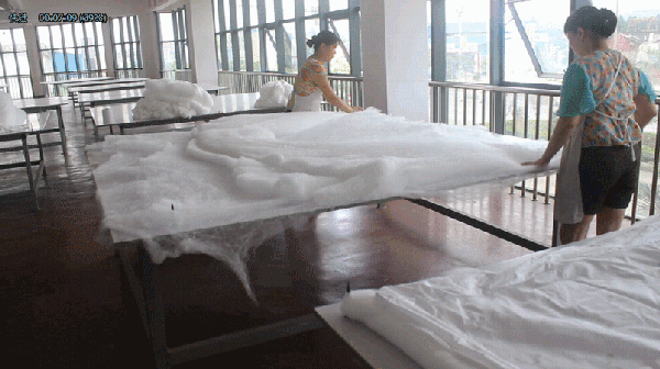 1561011302260176.gif 台灣MIT優品苗栗人蠶絲被(1).gif