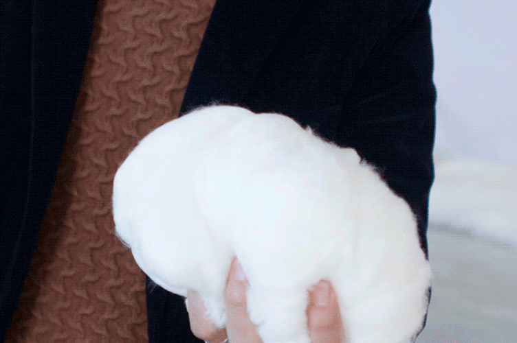 1562392551162852.gif u=1701848467,457697272&fm=214&gp=0.gif