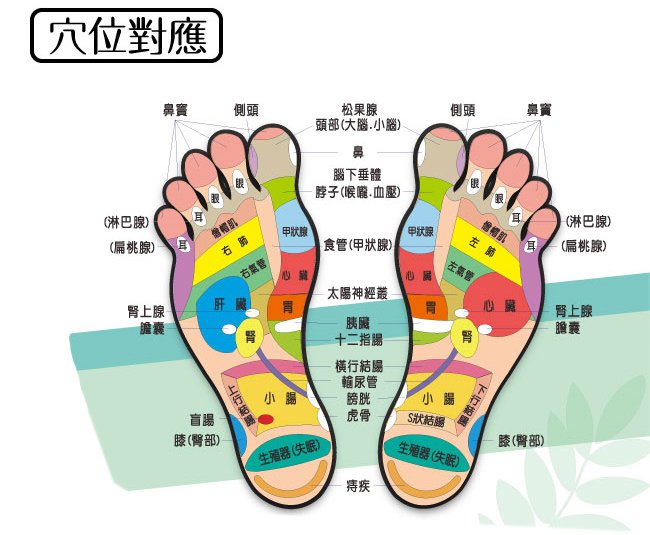 1564108158610745.jpg 磁石健身盤025.jpg