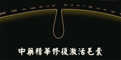 1566279632283993.gif 10.gif