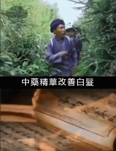 1567050902483803.gif 4140.gif