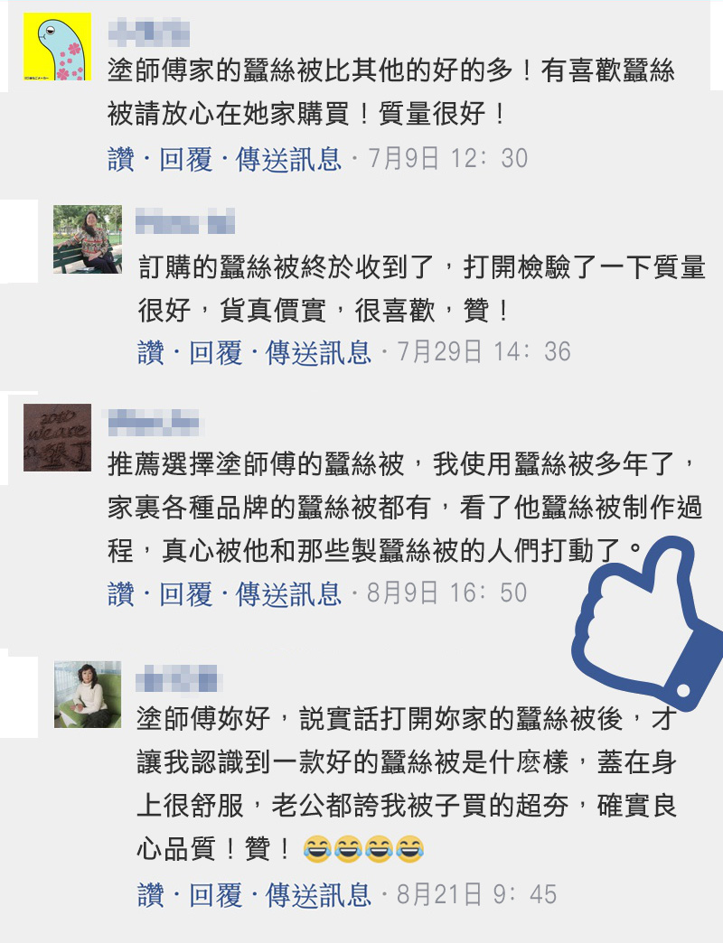 1567999978647513.jpg 台灣MIT優品苗栗人蠶絲被04.jpg