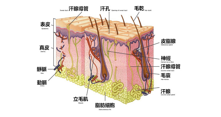 1582260533972492.png image.png