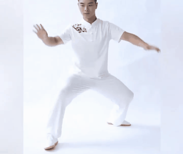 1586595497990265.gif 1586595292515_640x538.gif