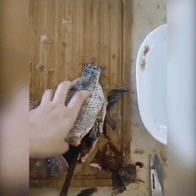 1587714509247514.gif tt.gif