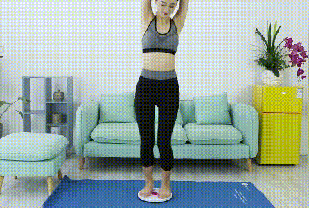 1588069891873008.gif 磁石健身盤01.gif