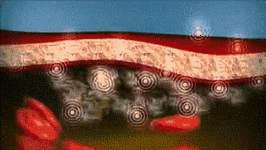 1590475807702954.gif 21.gif