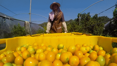 1595318820613832.gif 2020_0222_1b5a94dcg00q63466014bc000bc006em.gif