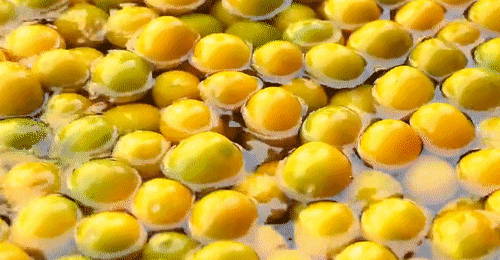 1595321573641977.gif img_51dee66046508048402857d7e01b4009.gif