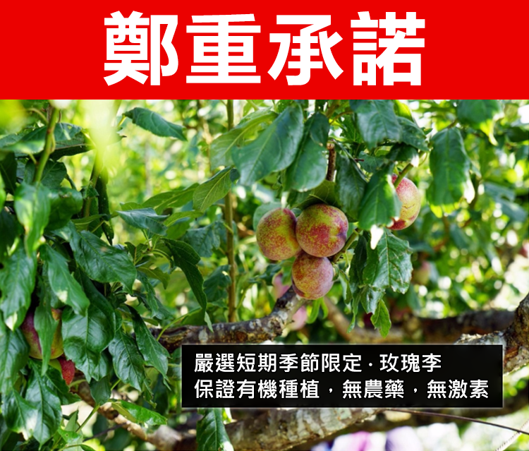 1599202734513233.png image.png