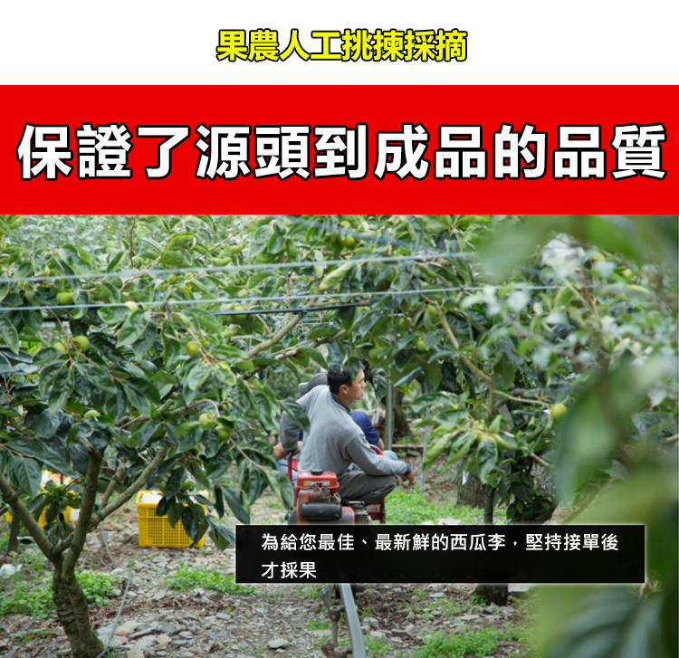 1599204162304210.png image.png