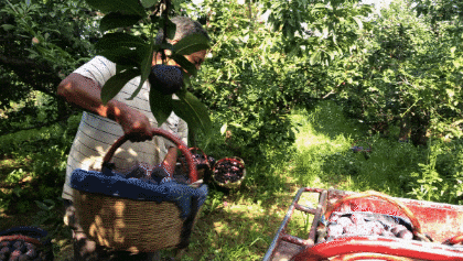 1599208305943271.gif a2f8c3ea1b604abc84afe94378276e8c.gif