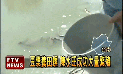 1602298744619751.gif 04.gif