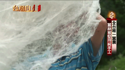 1602839074555262.gif 10.gif