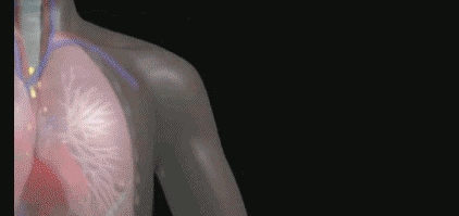 1603871410448759.gif 2.gif