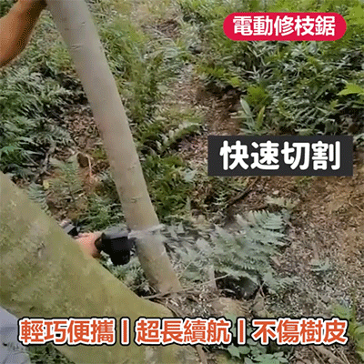 1604558251462586.gif