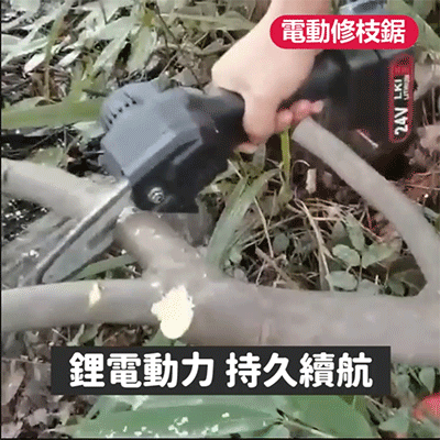 1604558251623315.gif