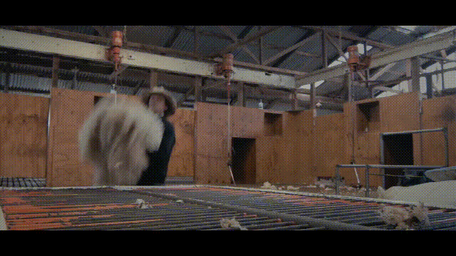 1606878548439022.gif 05.gif