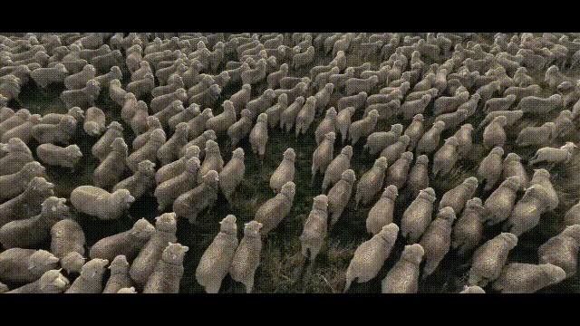 1606878431875170.gif 02.gif
