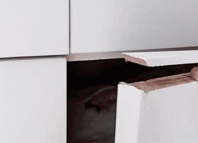5a.gif
