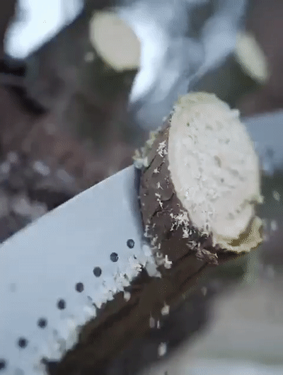 High Altitude Branch Pruning Saw 