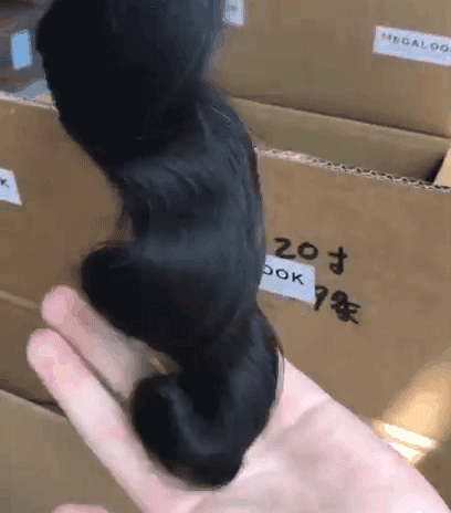 1593684492875535.gif