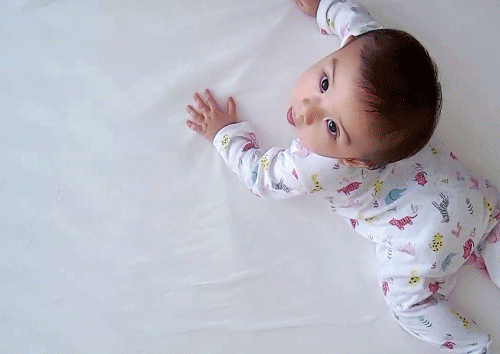 1618297842721804.gif xopEtjG.gif