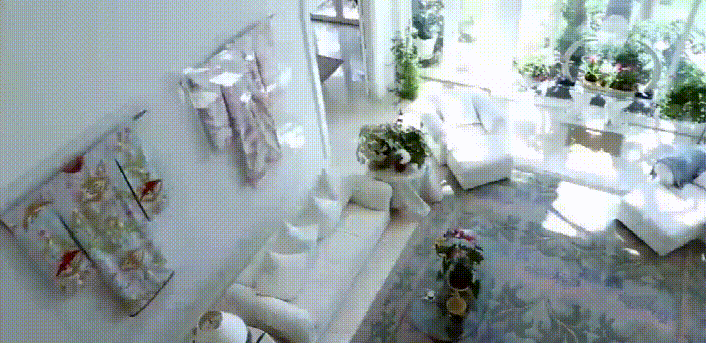 1618297905306869.gif