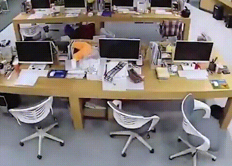 1618299828458644.gif 021719368055.gif