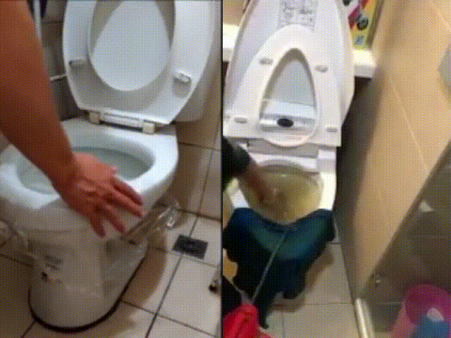 1619172584454183.gif