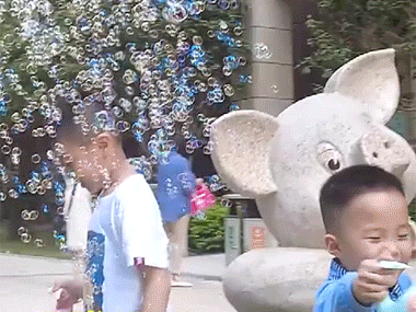 1621334860631948.gif
