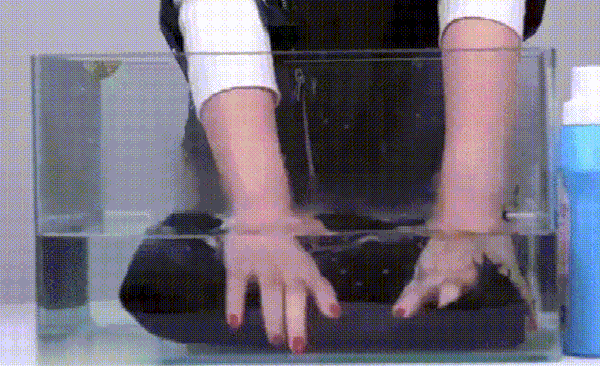 1622281311194937.gif