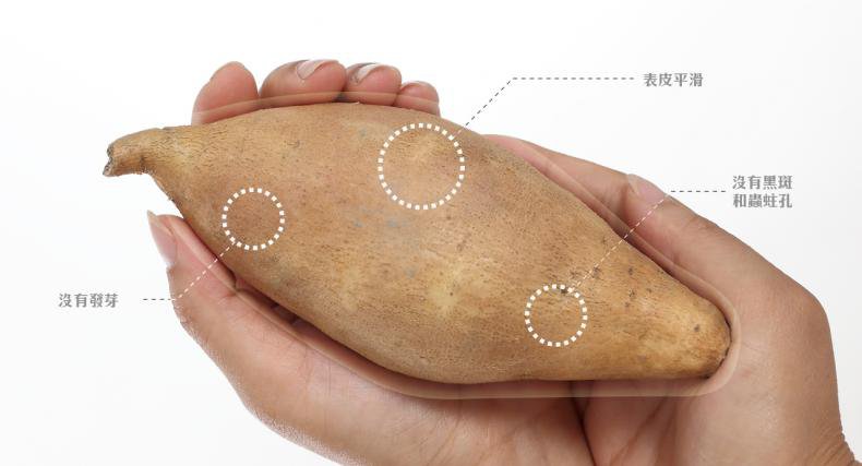 1623151374736533.jpg 162302887788377104.jpg