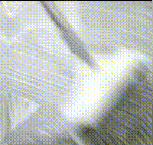 1623224986119773.gif 1621046709838433.gif