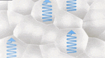 10.gif