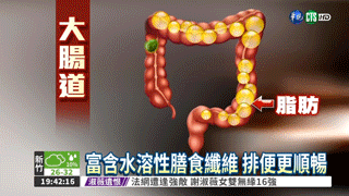 酵素膠原蛋白軟糖1624869400848203.gif 酵素膠原蛋白軟糖