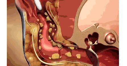 1624949394109455.gif