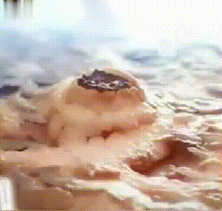 Sumifun 祛疣膏