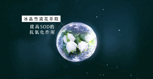 1625627949443386.gif DM_20210707111514_046.gif