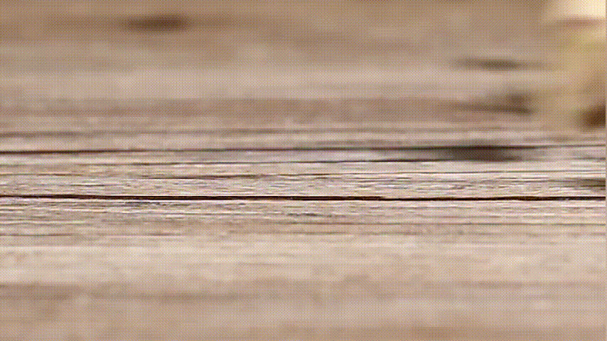 1626841803666364.gif