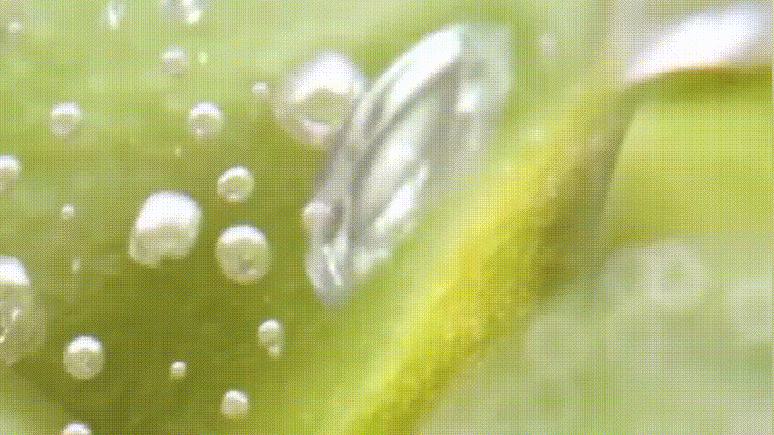 1626841804789313.gif