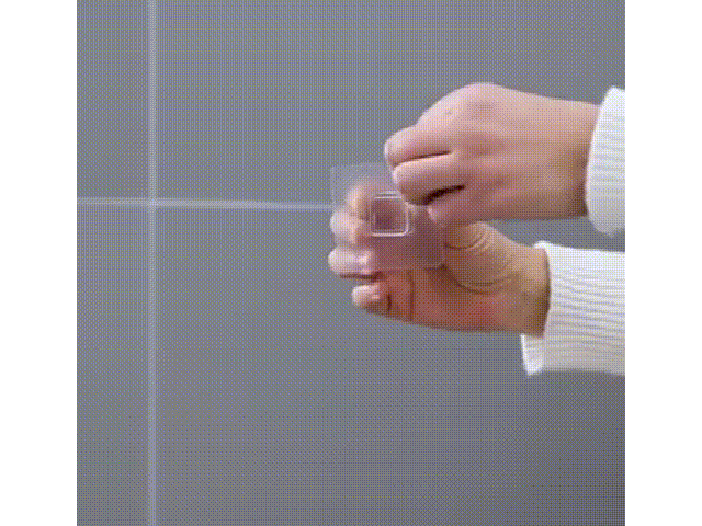 1619168068317570.gif