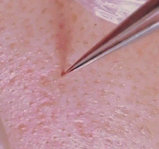 1630907672531243.gif