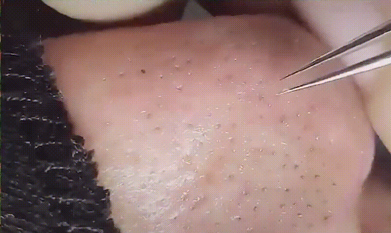 1630907677542740.gif