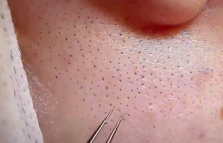 1630907679343992.gif
