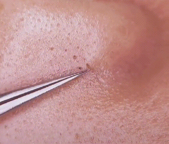 1630907687157226.gif