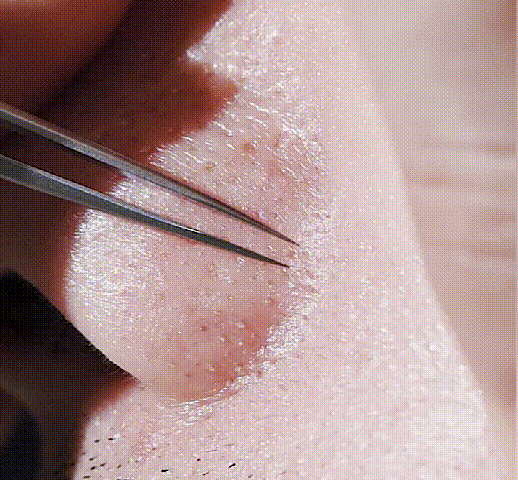 1630907689352878.gif